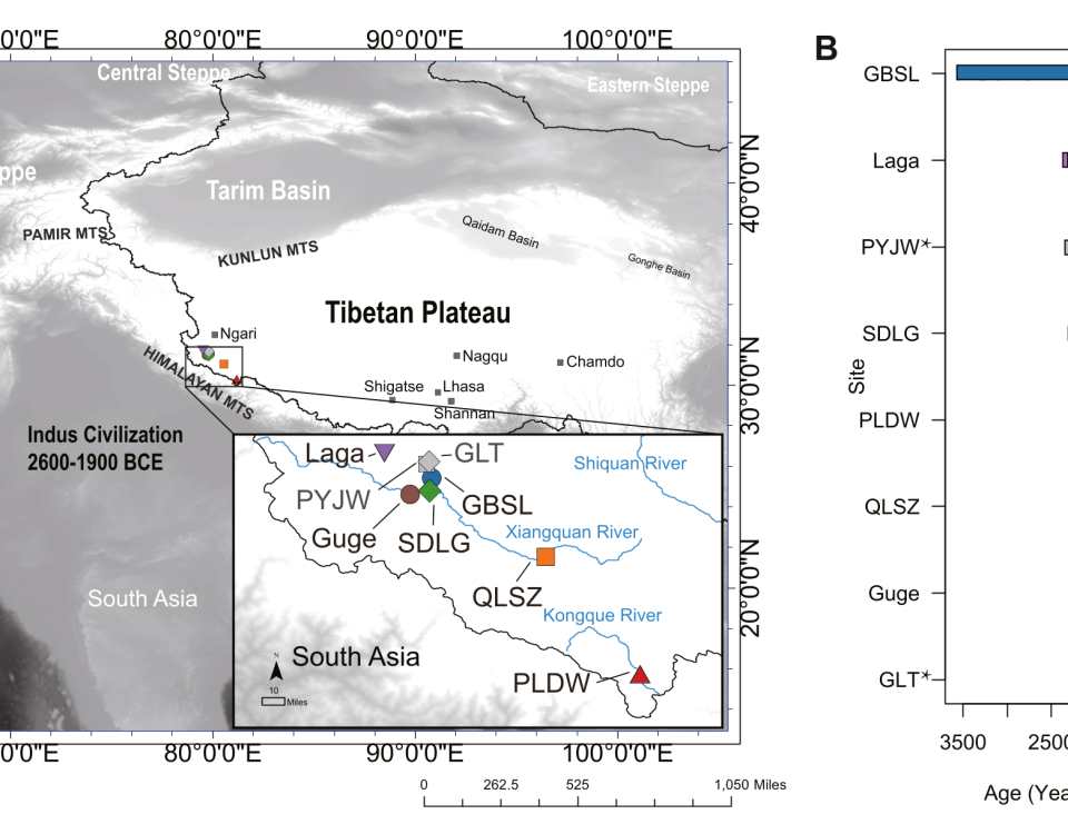 研究涉及阿里樣本的空間及時間分佈