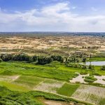 内蒙古鄂尔多斯黄河南岸的库布齐沙漠边缘地带